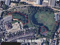 Judging by the initial proposal, the trees outlined here would have to be removed.